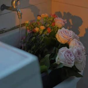 啊啊啊啊啊,不要插,不要舔,不要啊视频
