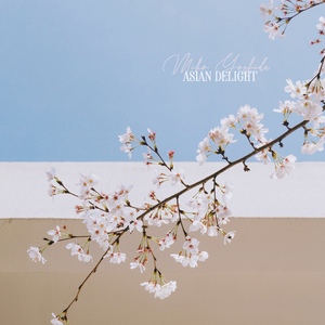 啊啊啊啊啊,不要插,不要舔,不要啊视频
