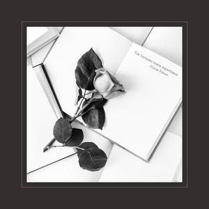 啊啊啊啊啊,不要插,不要舔,不要啊视频
